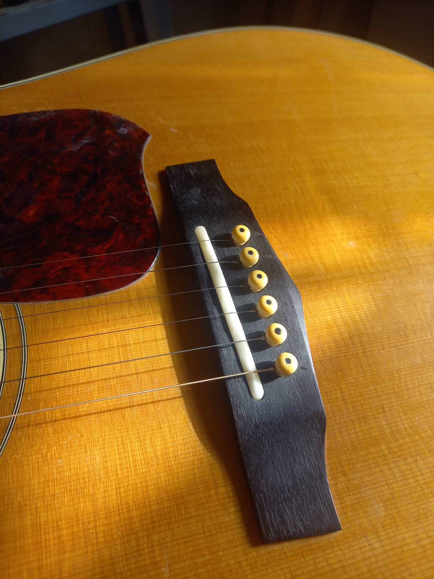 Ibanez V300 – Conversion Nashville